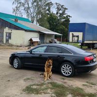 оригинальный звук