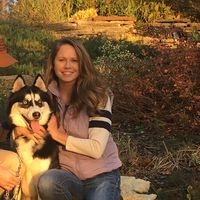 jmo_husky