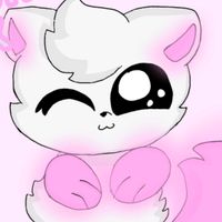 articfox12300