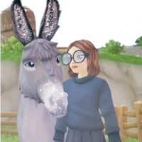 ssohorse234