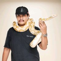 singnum8