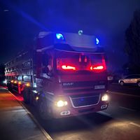 mc_z.a.r.i.k_dafstiktoka