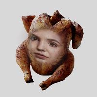 chickenbaby919
