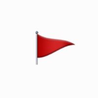 redflagsss0