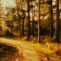 smells like teen spirit by nirvana