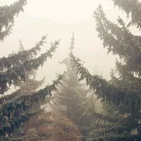 original sound - armarto_44