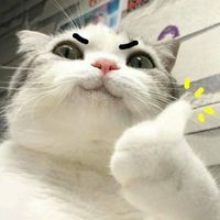 nhạc nền - Giải Trí Chấm Cơm 🍚