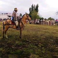 chagrita10