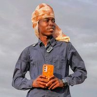 الصوت الأصلي