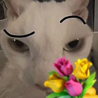 .jskdj5