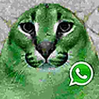 original sound - spring_leonel