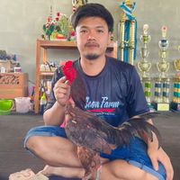 jamalvpqizj