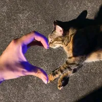 original sound - wu.mo1