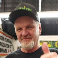 raizerplantasparaabelhas