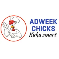 original sound - adweek.chicks