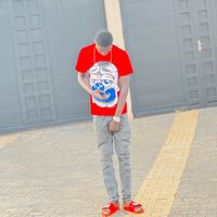 linconnu_283