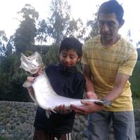 aguascristalinasdaldal