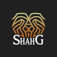 shah_g.llc