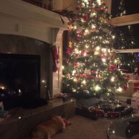 thechristmashaul24