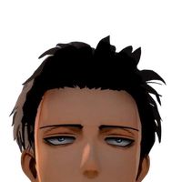 shingekinkyojin13
