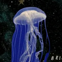 original sound - sofphh