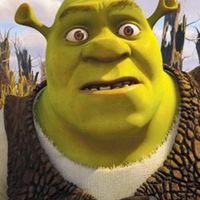 you date zaddy shrek for using