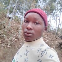 user8815919447730