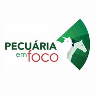 pecuaria.emfoco
