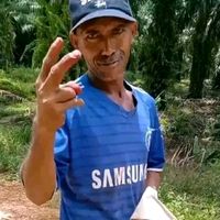 suara asli - pak vinsen