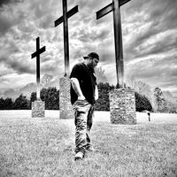 newfulltreephotography