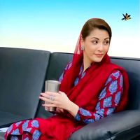 prideofpunjab6