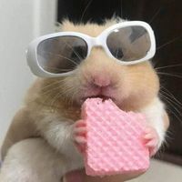 suara asli - 🎶