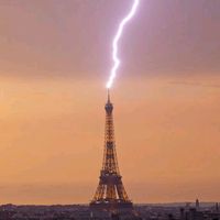 lylou38822