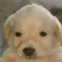 que