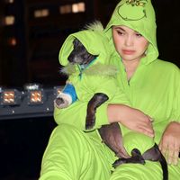 territoriodachshunderika