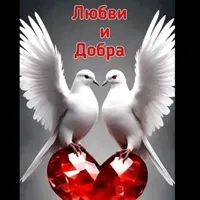 original sound - tiktok.shkval