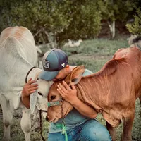 original sound - alex.pablo.hch