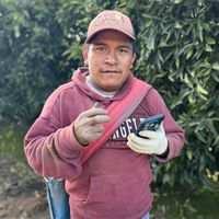 sergiovasquez175