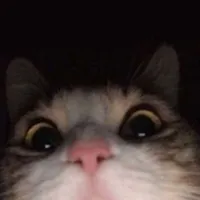 original sound - varqssinn