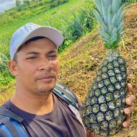 paulinho_do_abacaxi_of