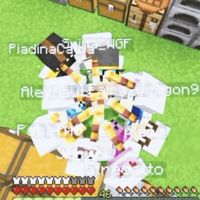f4n_wgf_