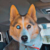 pixievoodoo