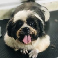 เสียงต้นฉบับ - น้องซูชิลูกสาวแม่นุ่น