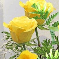 avene_jan