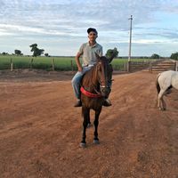 miqueias_fpx