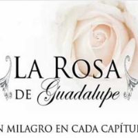 rosamundguadalupe