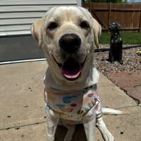 kyrankeeleyandkorismama