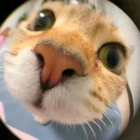 original sound - quetimportaptm