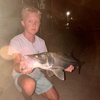 keegan_fl