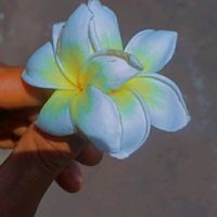 abdouchakress